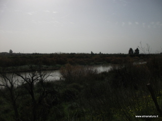 lle del Simeto-24-02-2013 10-15-52